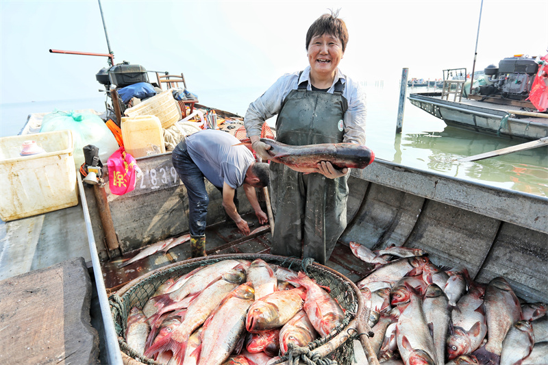 千船競發，東平湖開漁迎豐收。