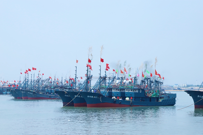 在日照黃海中心漁港，漁船整裝待發。宋年升攝