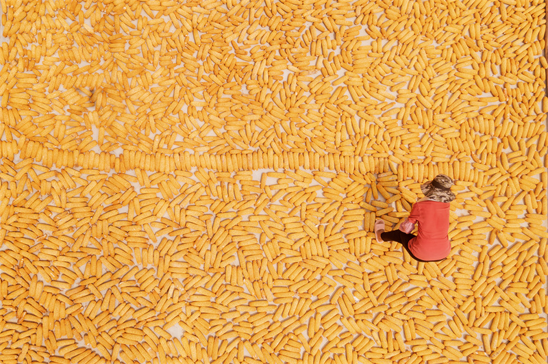 峤山镇东村村民正在晾晒玉米