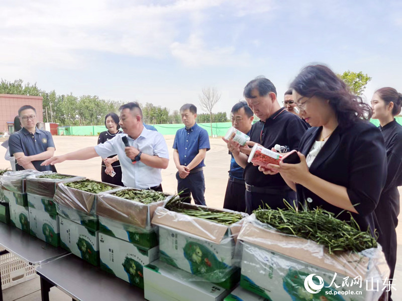 近日，“微藻生态”之微藻中草药功能性宠物草粮产业发展研讨会在乐龄召开，与会嘉宾在参观考察。人民网记者 宋翠摄