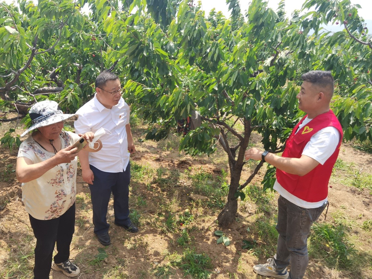 图为志愿者开展现场普法演示，群众用手机记录演示过程。