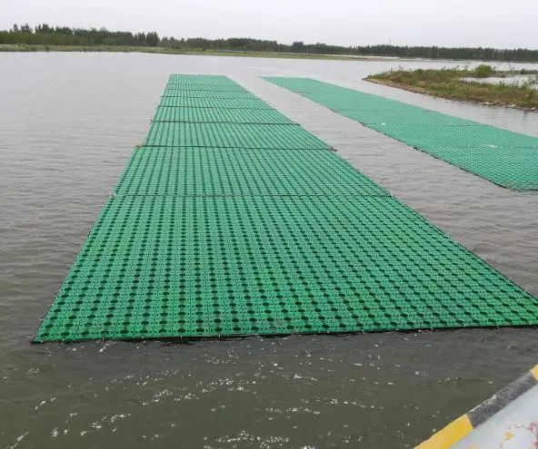 生态浮岛建设前。