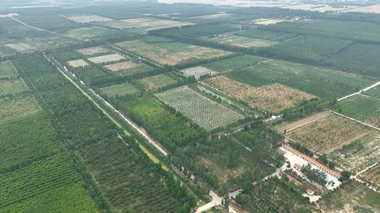 该行支持的商河县林地生态修复及基础设施配套提升项目。