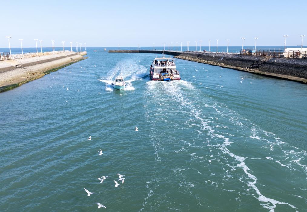 游船驶入码头，海鸥伴其归来。孙顺涛摄