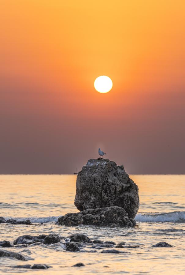 海浪拍打着礁石,溅起的水花在晨曦中闪烁。单英 摄