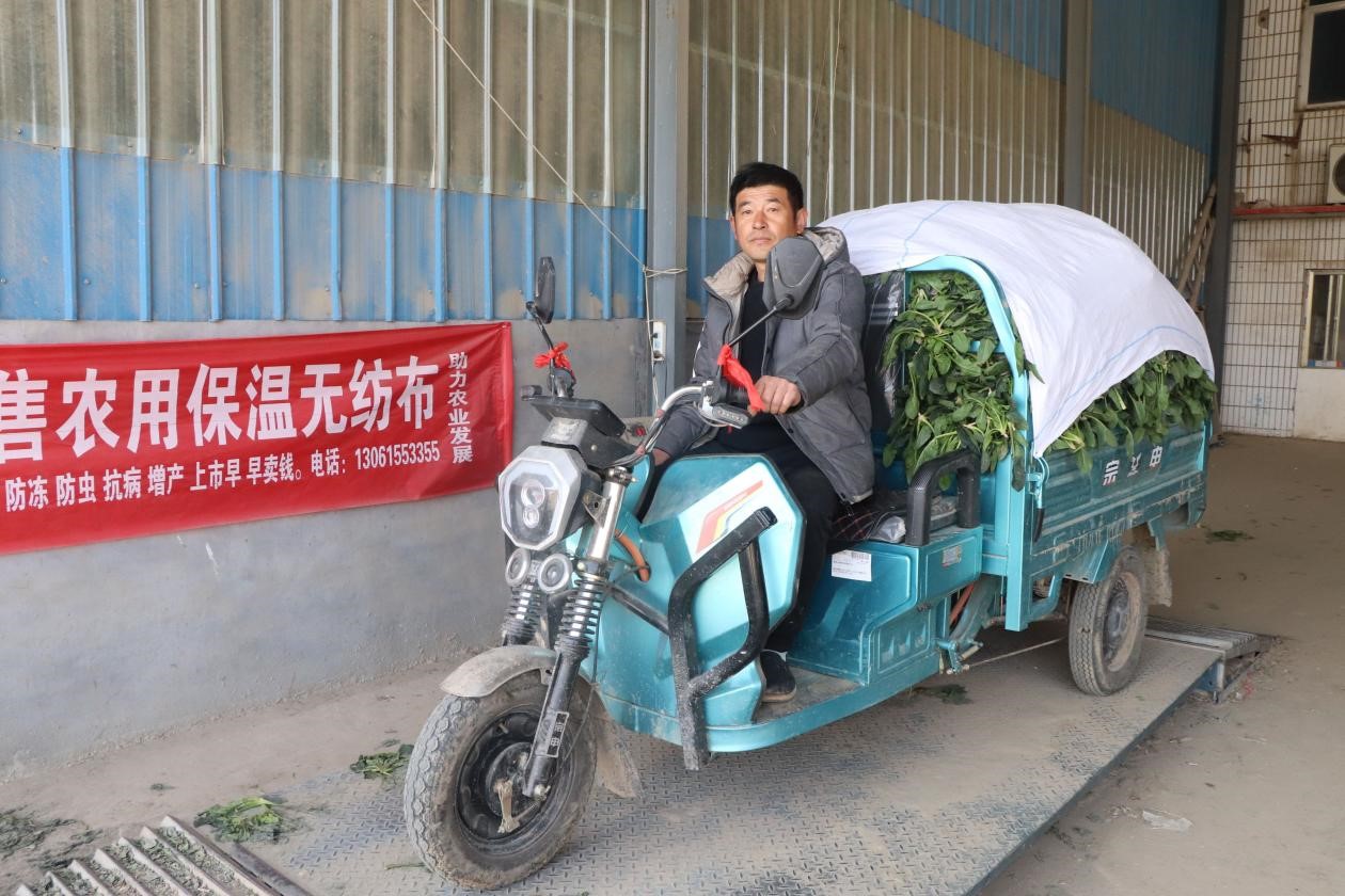 2月18日，单县彩松农业种植专业合作社收购点，村民们正在给菠菜过称。