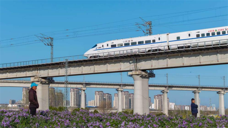 在日照街道迎賓路附近，列車行經之處，紫色的碳匯花海像是一幅徐徐展開的巨型織錦。孫順濤攝