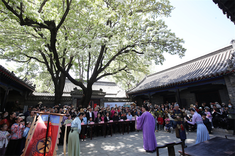 4月13日，在山東鄒城孟府景區，文藝工作者在盛開的流蘇花下表演音樂劇。