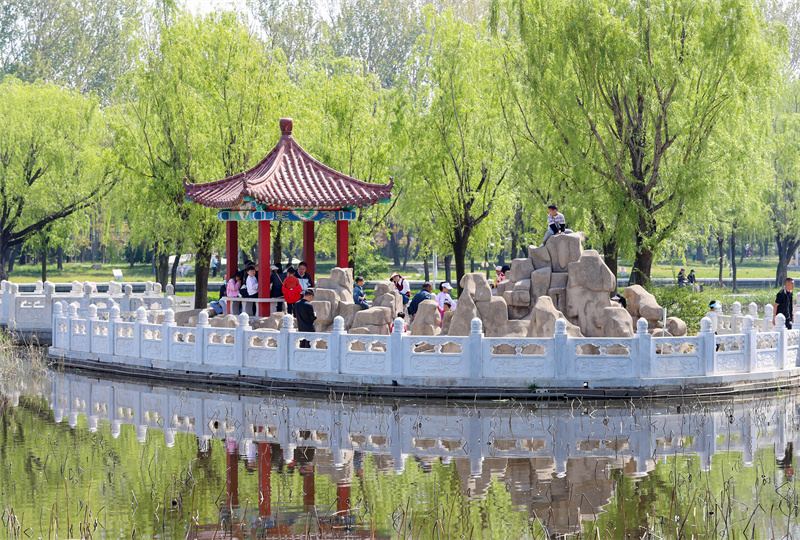 4月20日，游客在山东青岛莱西市月湖公园踏青游玩。张进刚摄