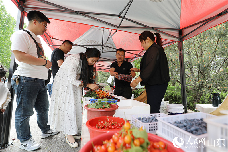 乡村旅游集市人声鼎沸，外地游客仔细挑选樱桃。人民网记者 刘祺摄