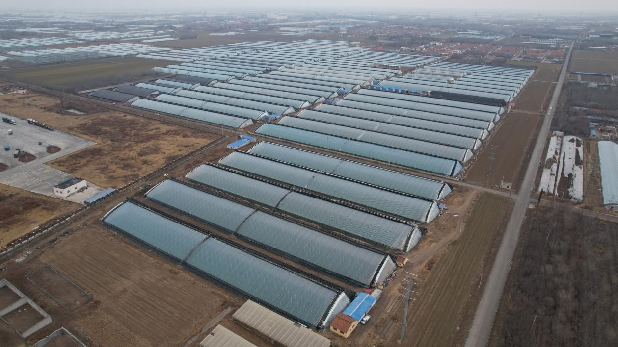 該行支持的濰城區農業科技示范區建設項目