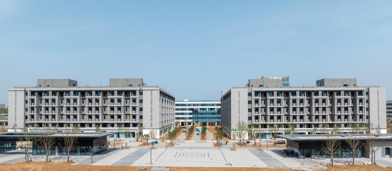 项目建设实景图