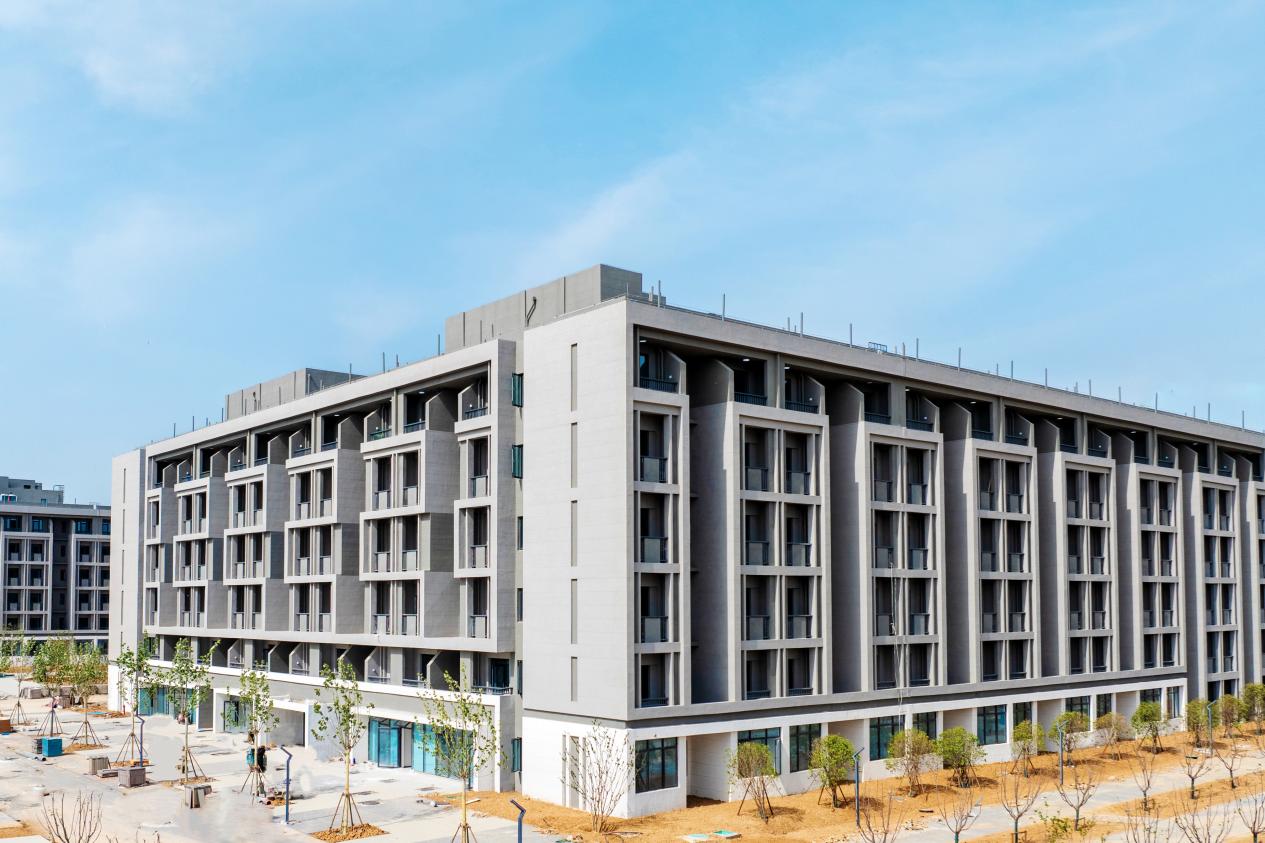 项目建设实景图