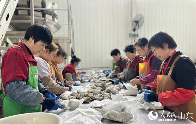 工人正在对牡蛎进行包装。人民网 乔姝摄