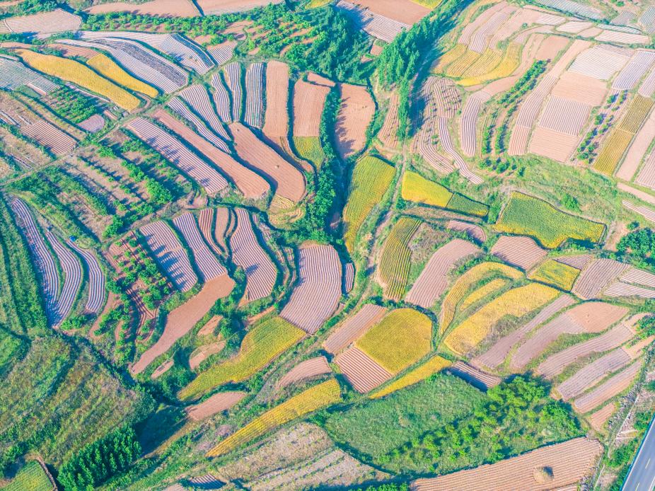 五莲梯田20250520-4
