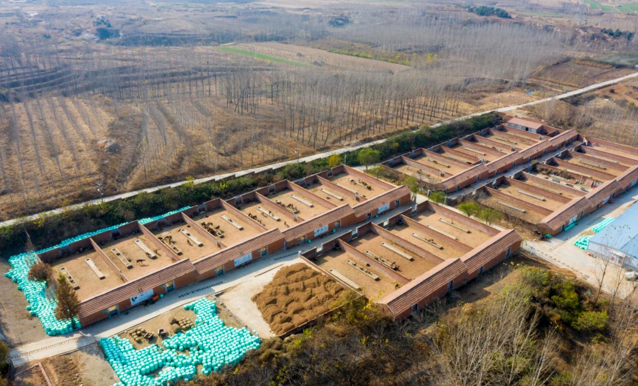 该行支持的梅花鹿养殖基地