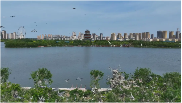 文亭湖美景