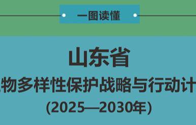 一图读懂 |《山东省生物多样性保护战略与行动计划（2025—2030年）》