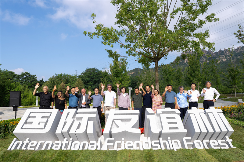 青岛国际友谊林揭牌。青岛市委外办供图