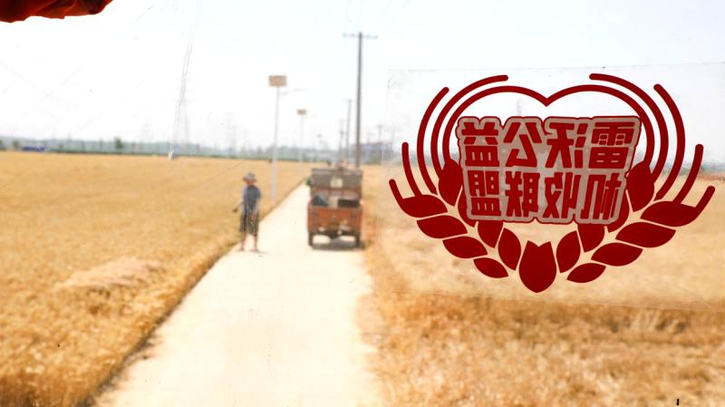 爱心公益联盟