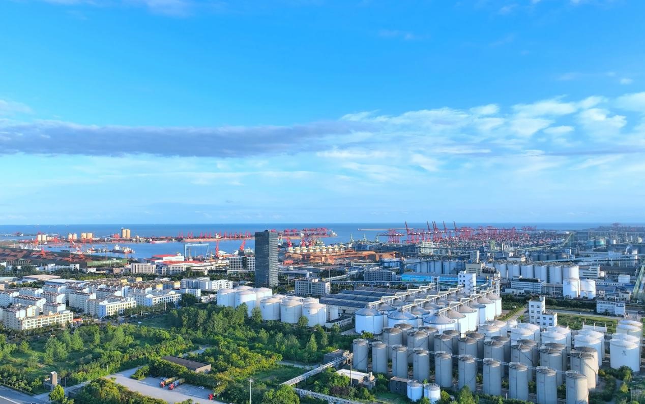 航拍日照港“前港后厂”景象。日照港供图