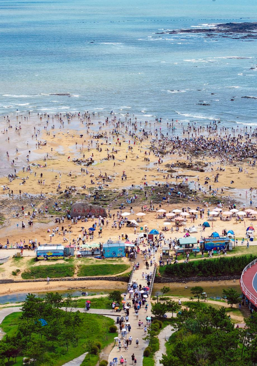 太公岛牡蛎公园满是赶海的游客，大家专注寻觅，与大海亲密互动，构成一幅活力满满的赶海图景。宋年升摄
