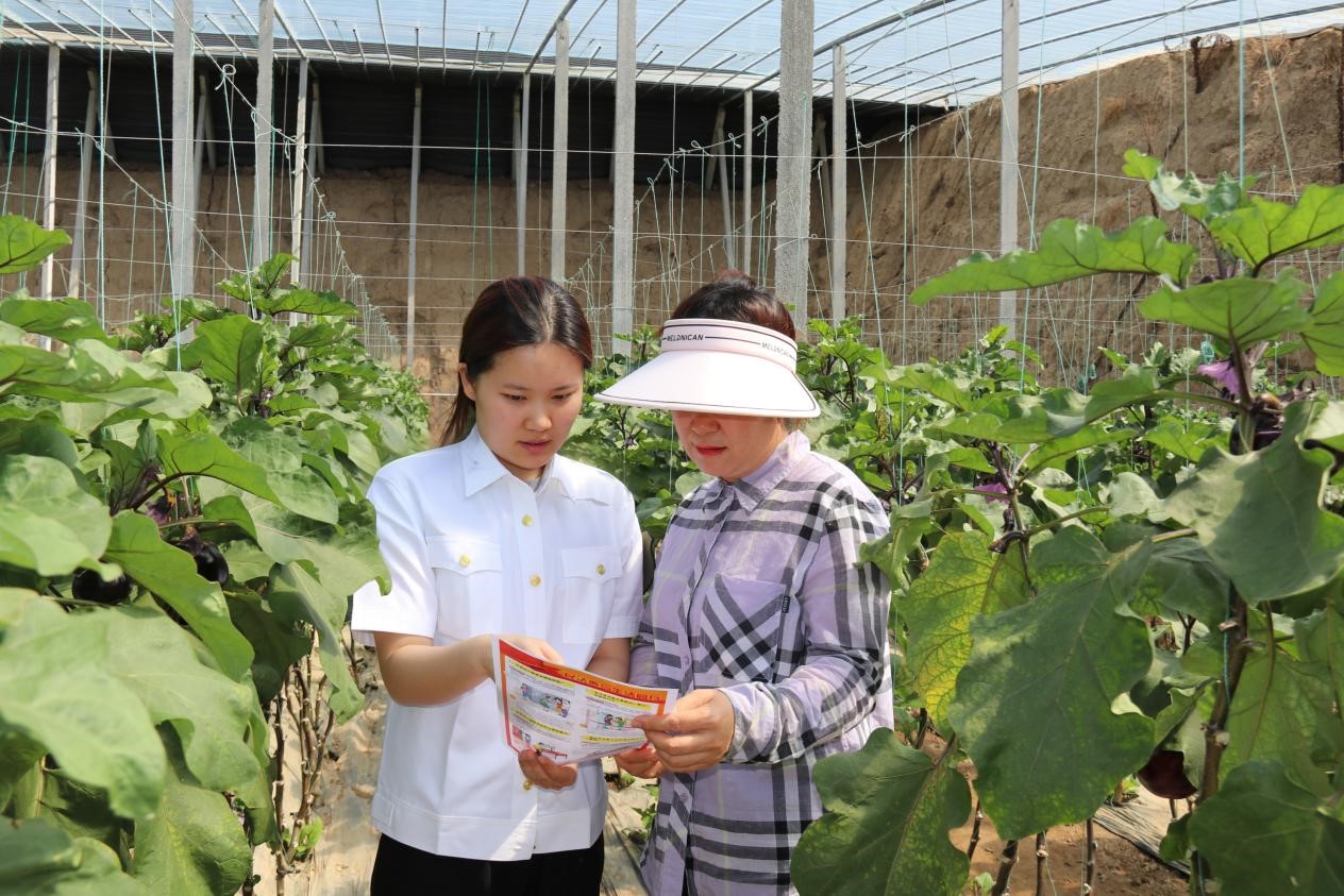 图为普法小组成员向村民讲解普法手册。