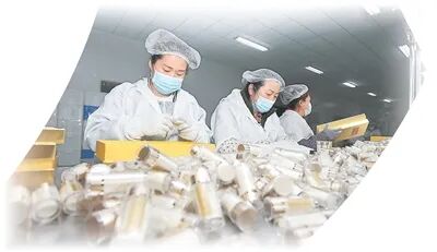 頤陽集團西洋參生產車間，工人正在包裝西洋參破壁粉。王彥博攝