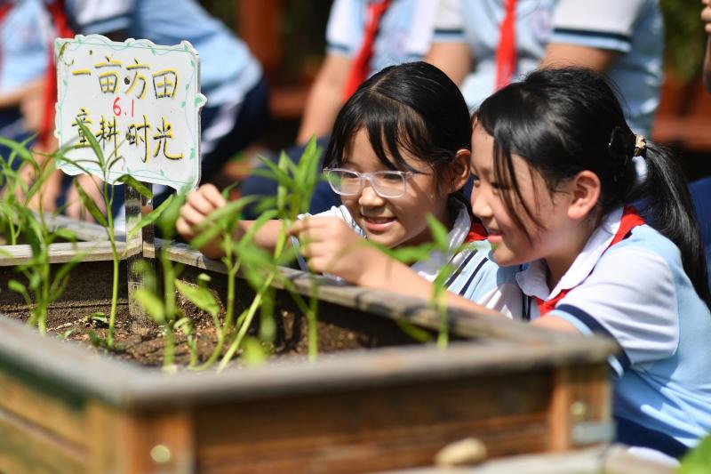 2025年9月16日,在山東省青島市市北區鞍山二路小學的種植園裡,兩名學生在觀察種植的菜苗。