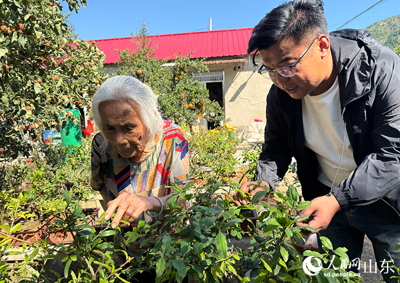 刘威上门指导孙大娘剪枝。人民网记者 刘祺摄