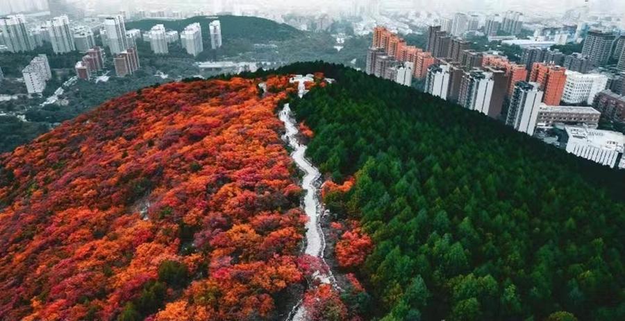 大千佛山风景区绿道