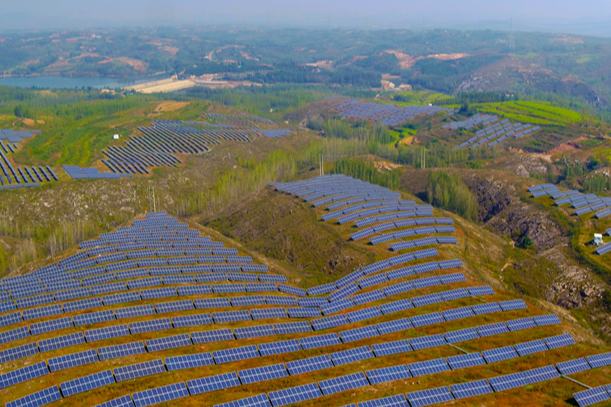 潍坊安丘：荒坡“借光驭风”变身“绿电银行”