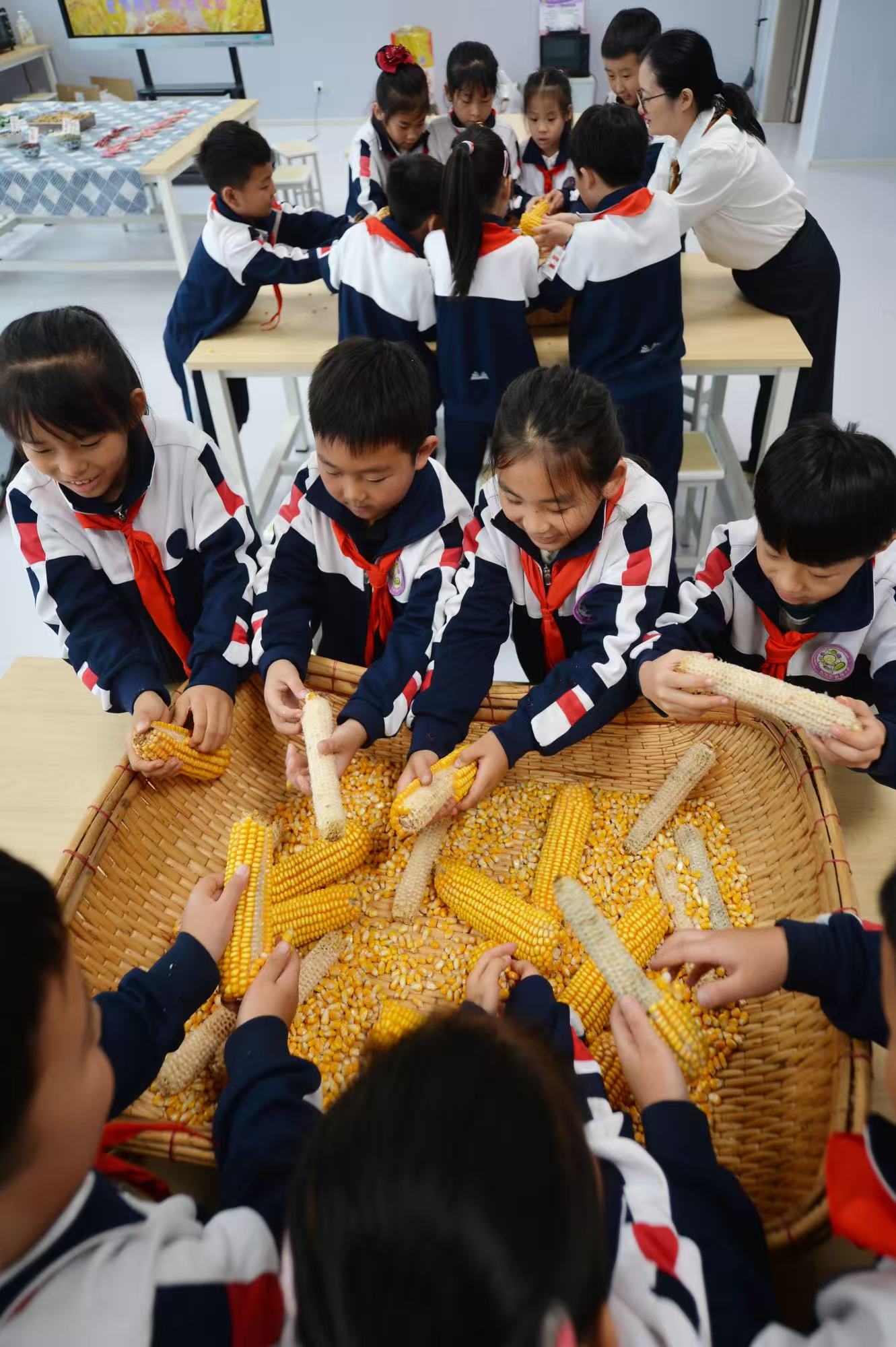 學生們在進行搓玉米比賽