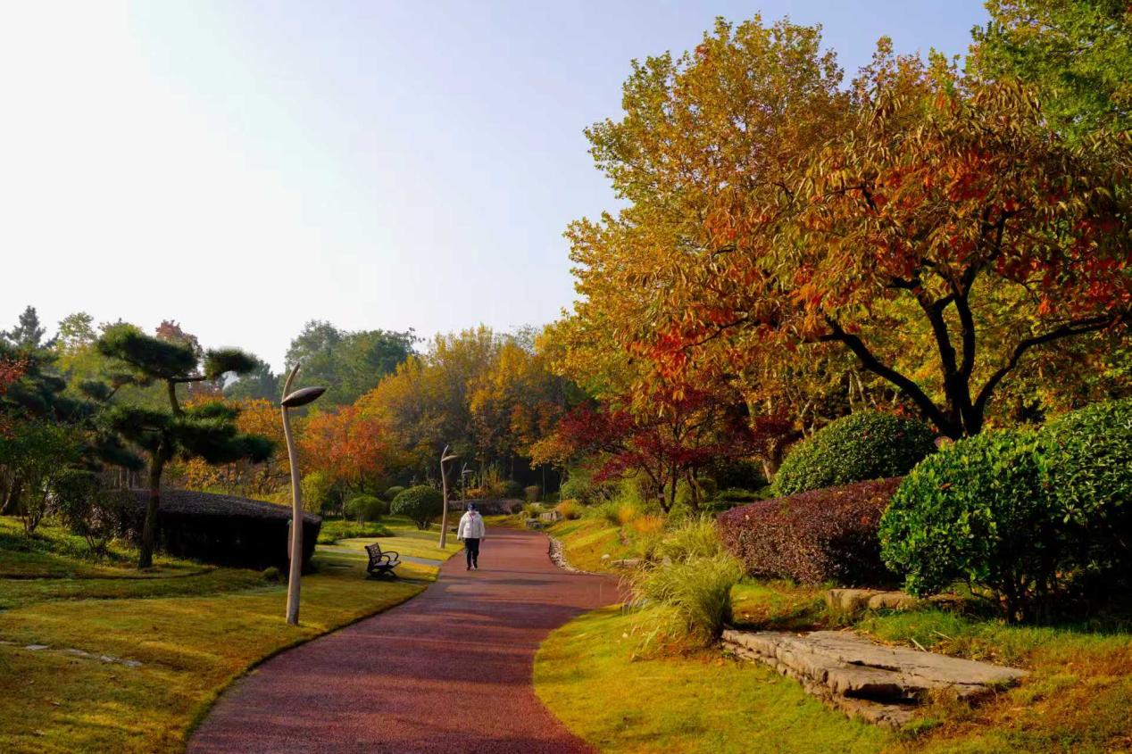 公园里五彩斑斓交织成一幅油画。袁召勇 摄