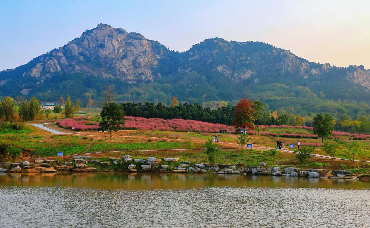远处层林尽染，正是出游赏景的好时节。刘宗丽 摄