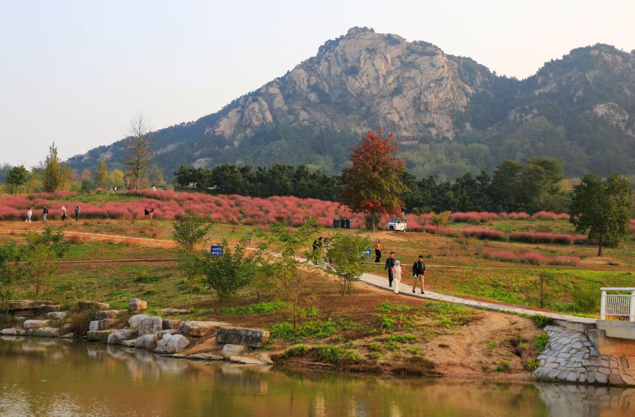 远处层林尽染，正是出游赏景的好时节。刘宗丽 摄