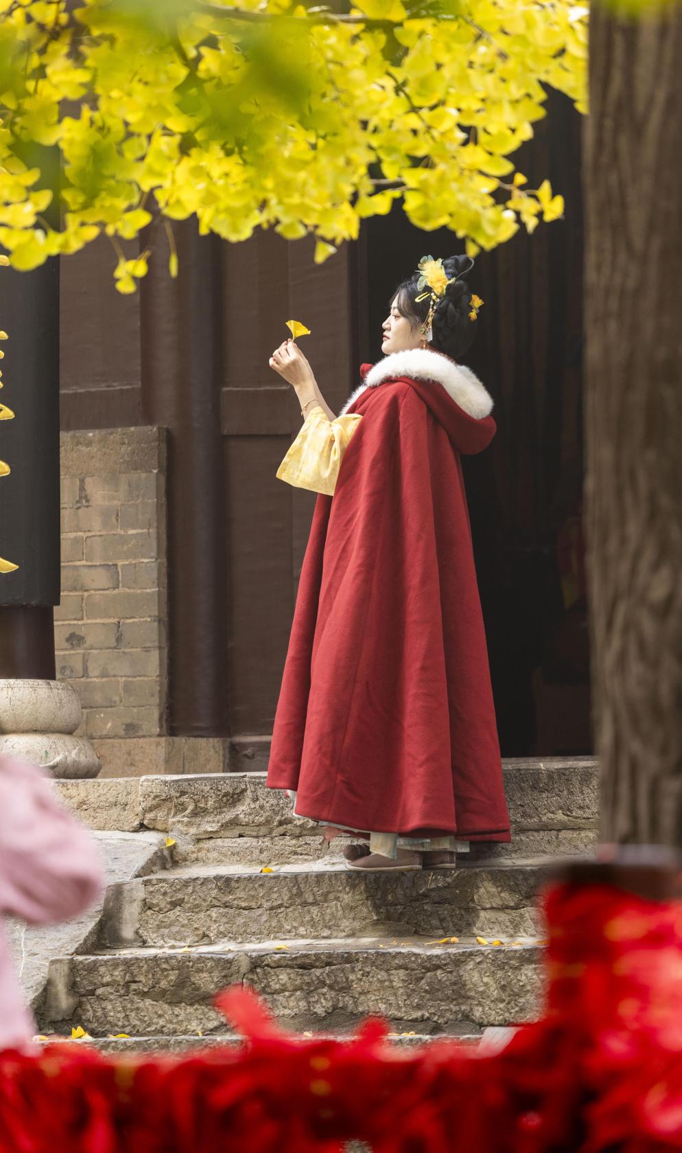 浮来山的银杏树迎来高光时刻，游人纷纷打卡留念。单英 摄