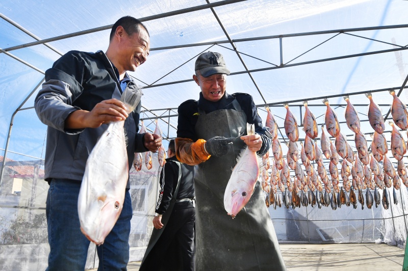 两名渔民准备晾晒新腌制的面包鱼。