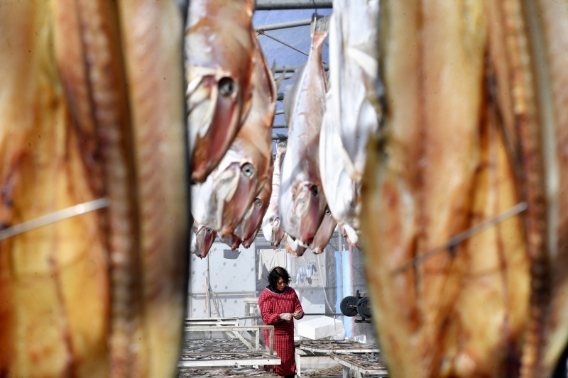 渔民在晾晒各种“一卤鲜”风味鱼干。