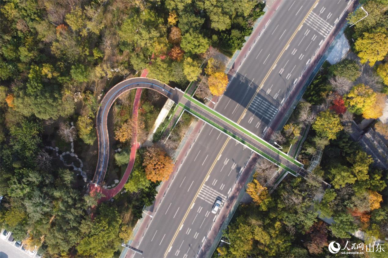 济南市千佛山—佛慧山无障碍绿道全长2.2公里,打通6处无障碍断点,方便腿脚不便的市民游客前来登山打卡。人民网 乔姝摄