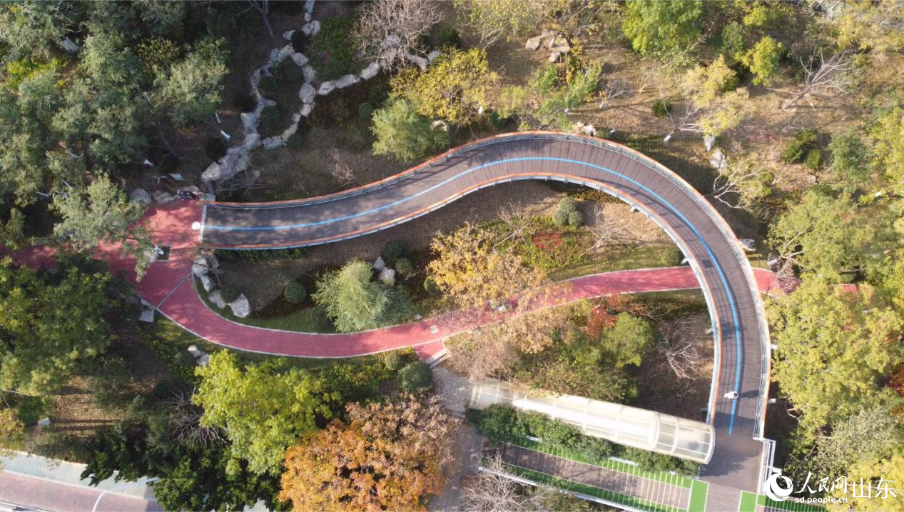 济南市千佛山—佛慧山无障碍绿道全长2.2公里,打通6处无障碍断点,方便腿脚不便的市民游客前来登山打卡。人民网 乔姝摄