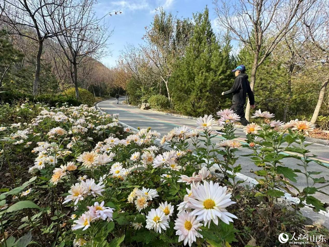 市民游客在济南佛慧山绿道悠然徒步。人民网 乔姝摄