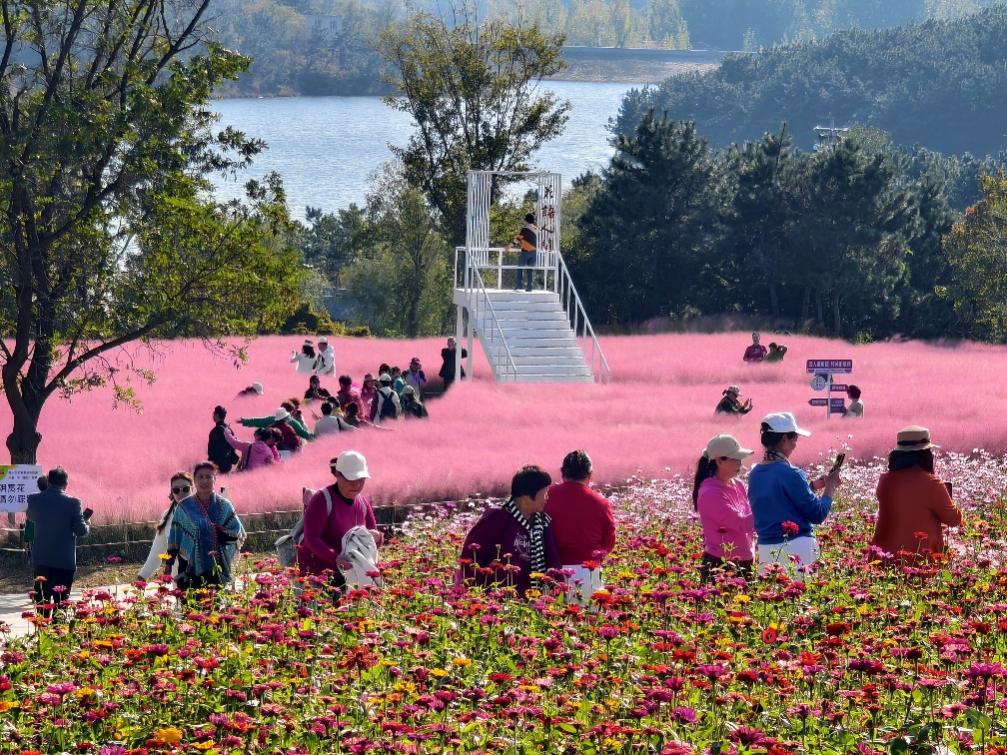 如诗如画的“花语人间”景区