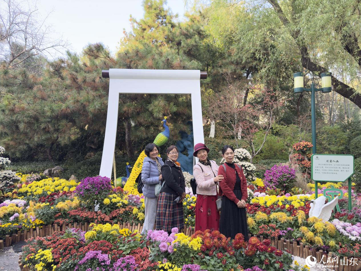 菊影成幕，游客打卡《引菊入画》展区。人民网 庄润泽摄