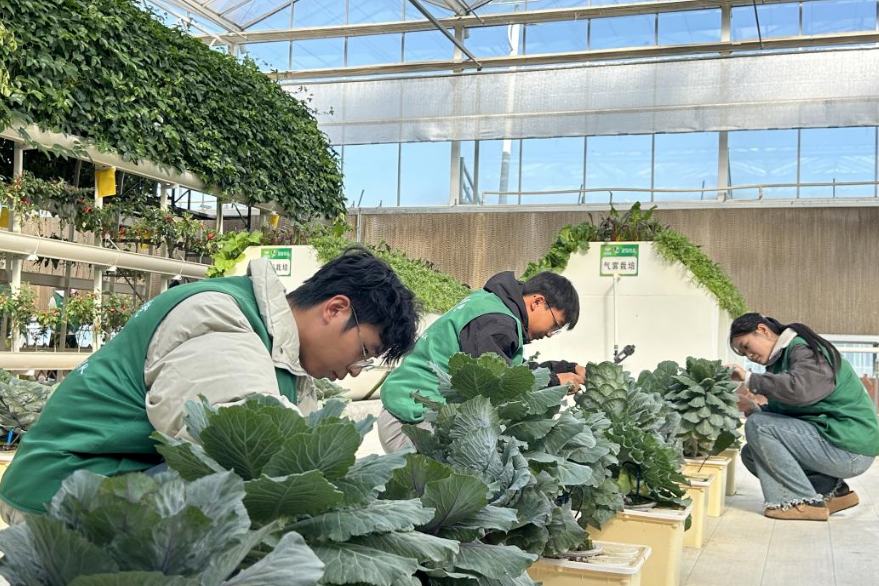 “关注环境保护 守护更好潍坊”生态环保科普志愿服务活动举行