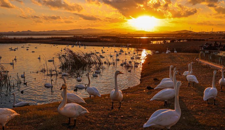 生态与经济共舞 谱写“两山”实践新篇章