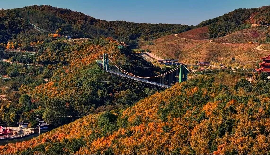 
初冬不寂色 彩林栈道绘就壮美画卷

