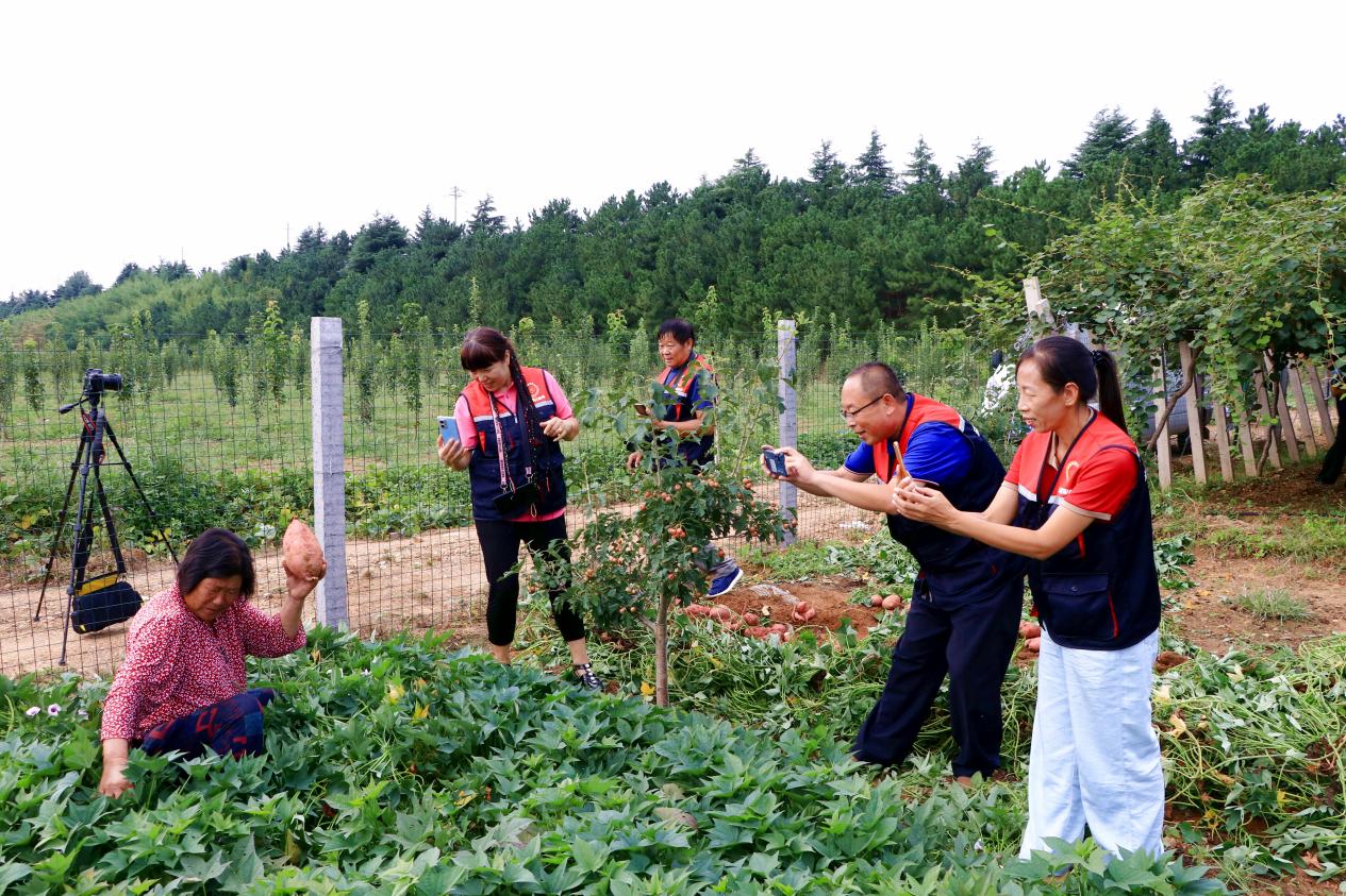 协会成员指导果农直播解说。日照市委宣传部供图