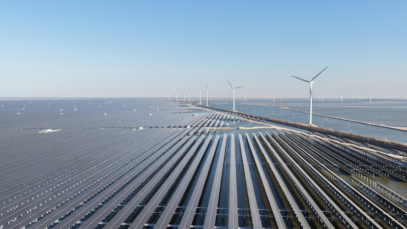 山东沾化：海边的绿色“智能工厂”