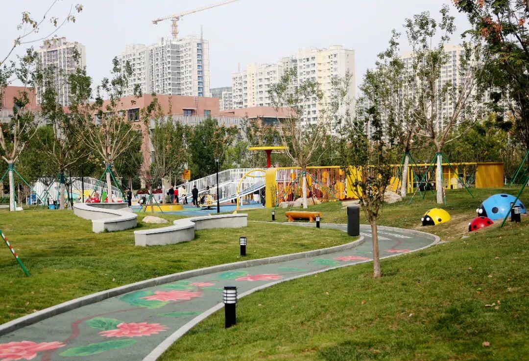 历下区儿童友好公园精灵草坪